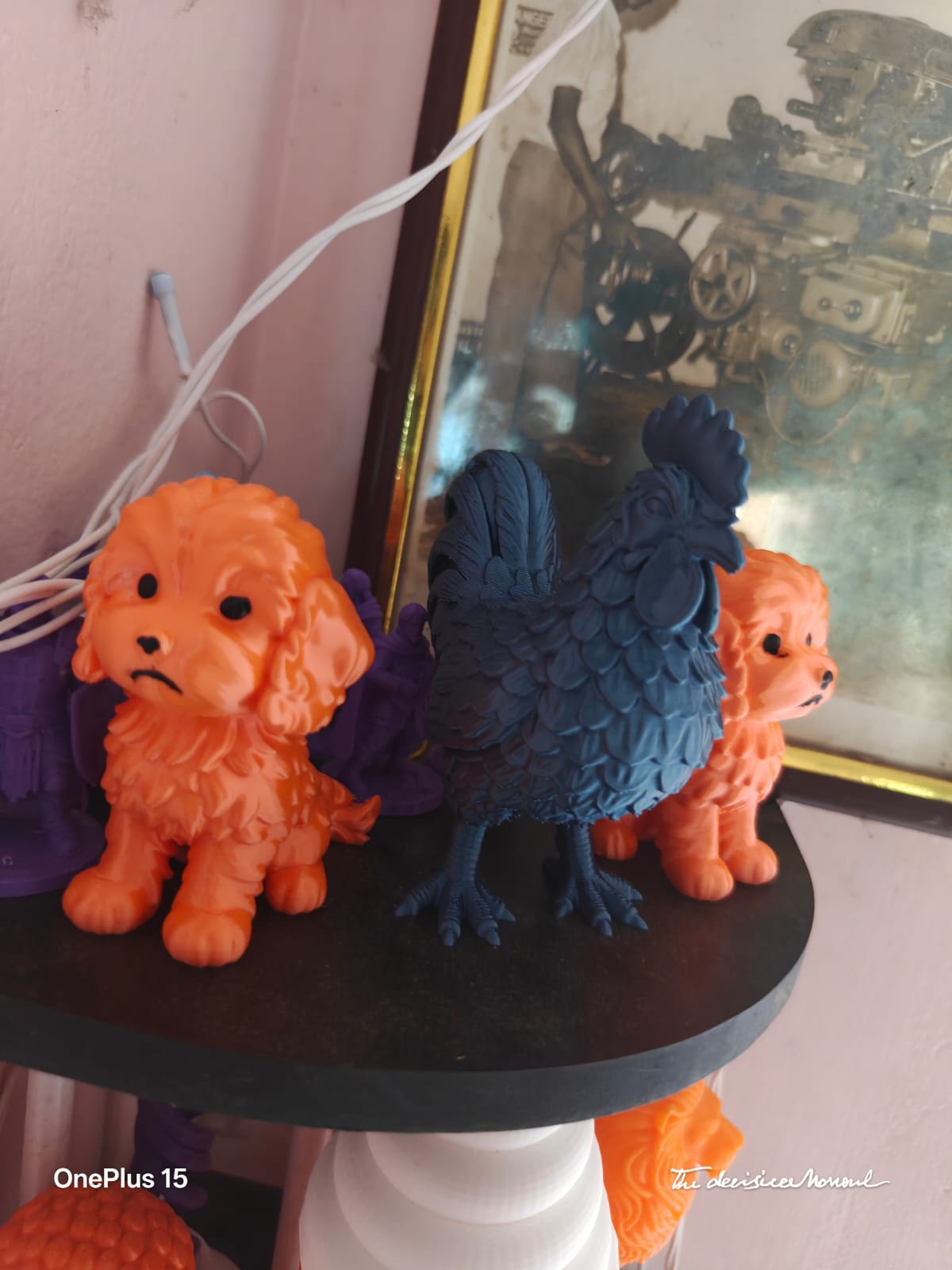 Dogs and rooster